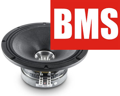 BMS 10" PA Speakers