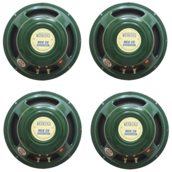 10 alnico guitar speaker