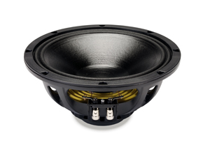 18 Sound 10" Speakers