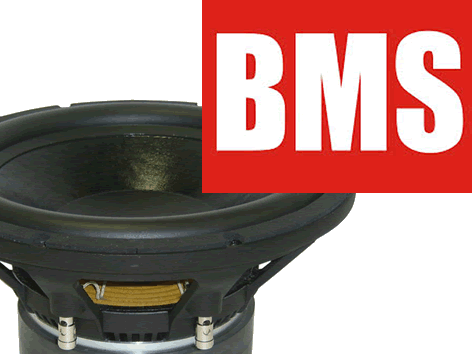BMS 12" PA Speakers