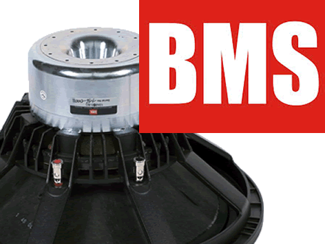 BMS 15" PA Speakers