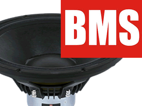 BMS 18" PA Speakers