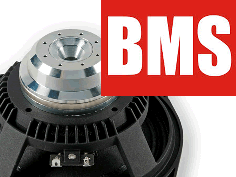 BMS 6" PA Speakers